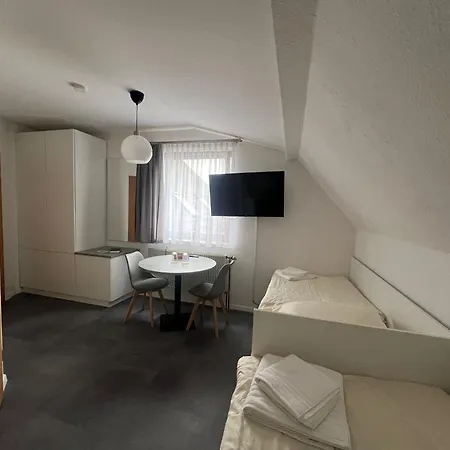Am Birkenweiler Guest house *